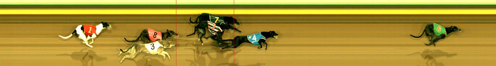 Race result finish photo